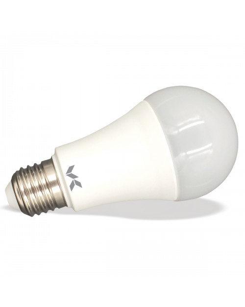 Λάμπα LED κοινή A80 20W E27 3000K 