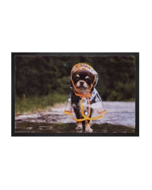 HAMAT Χαλί εισόδου Raincoat dog 40x60cm
