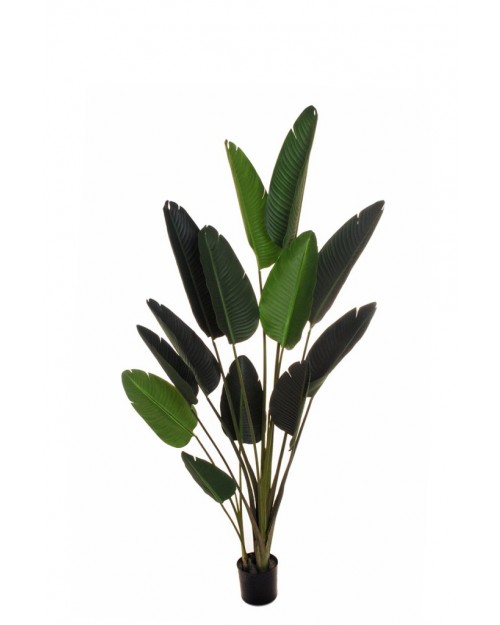 Συνθετικό Φυτό Strelitzia (Bird of Paradise) με 13 φύλλα, γλάστρα Ø17 εκ., Υ180 εκ. – Πράσινο  80-297075