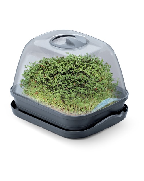 PROSPERPLAST Θερμοκήπιο Respana Table Greenhouse Small DREM260P-S433