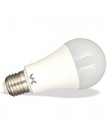 Λάμπα LED κοινή A80 20W E27 3000K 