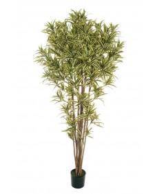 Συνθετικό Φυτό Dracaena Reflex με 2679 φύλλα & 7 φυσικούς κορμούς, γλάστρα Ø19,5 εκ., Υ210 εκ. – Ποικιλόχρωμο  80-445964