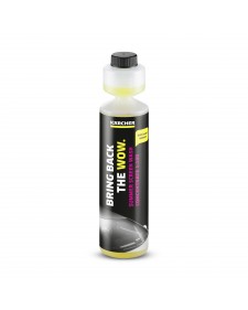 KARCHER Καλοκαιρινό συμπυκνωμένο καθαριστικό υαλοκαθαριστηρων, RM 672, 250ml  6.296-110.0