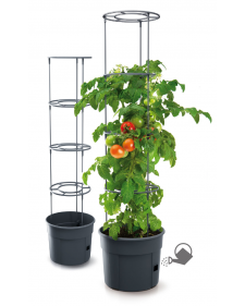 PROSPERPLAST Γλαστράκι Tomato Grower ∅39,2 cm IPOM400-S433